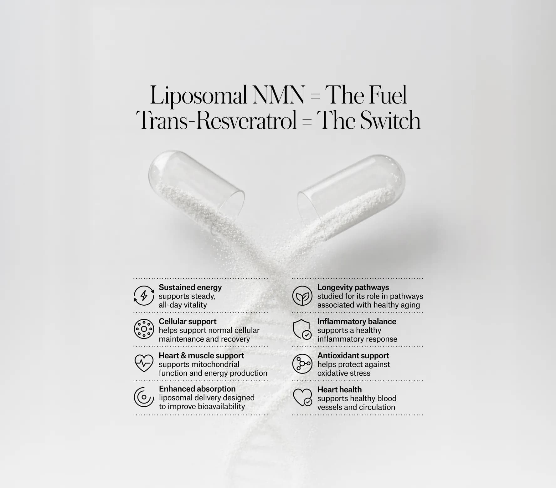 Longevity Intensive Protocol — 6 Months