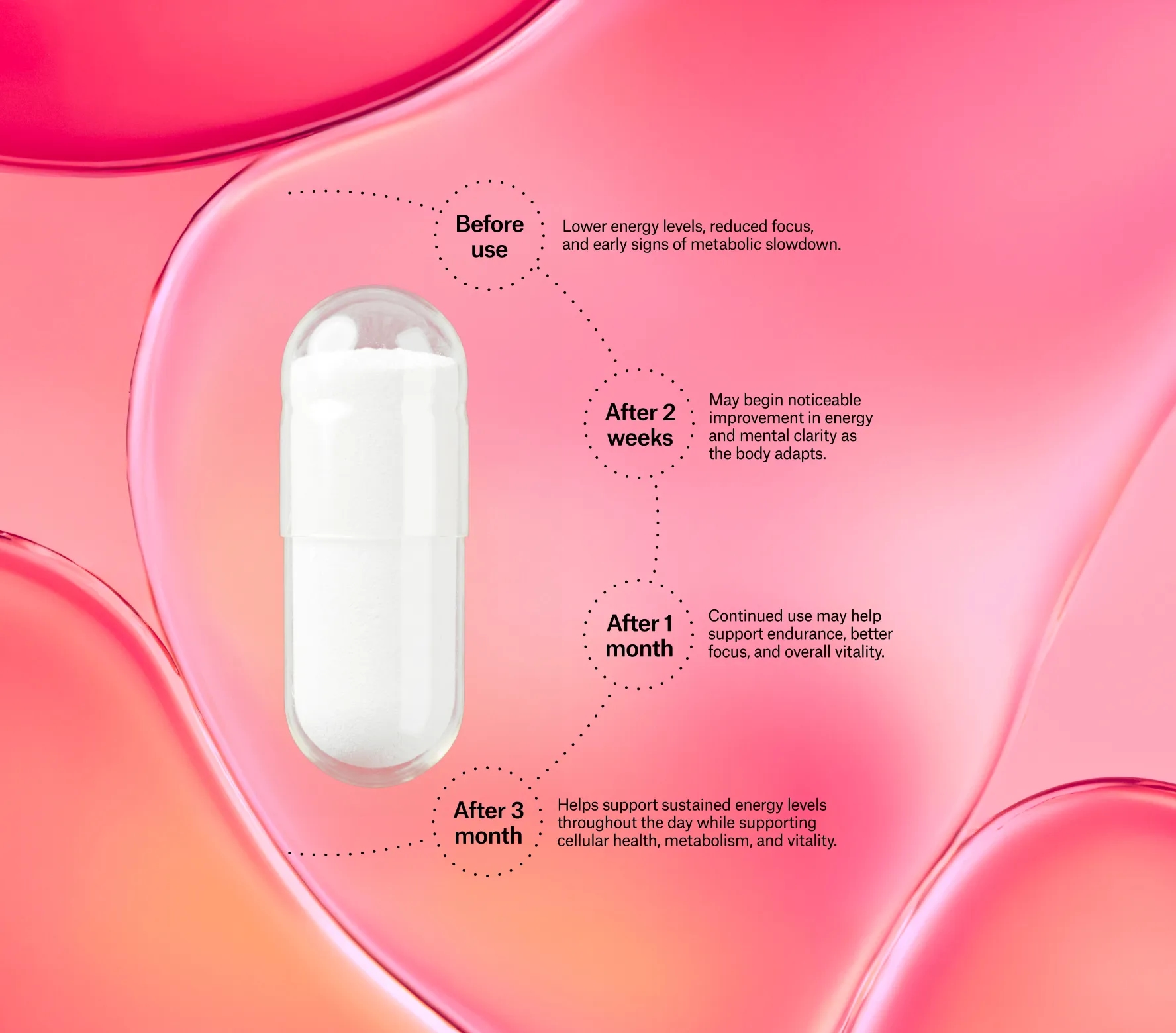 Longevity Supplements