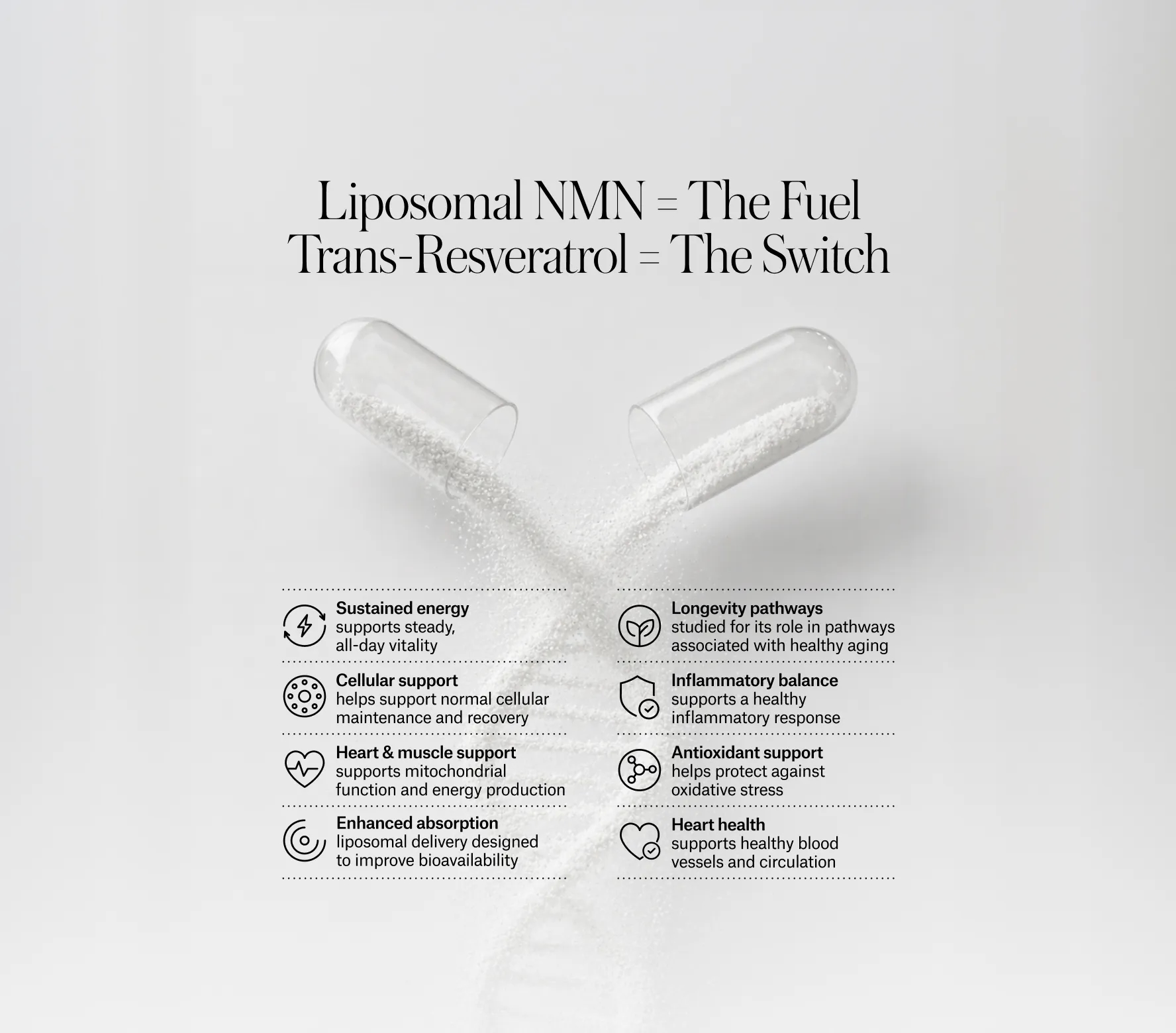 Longevity Intensive Protocol — 3 Months