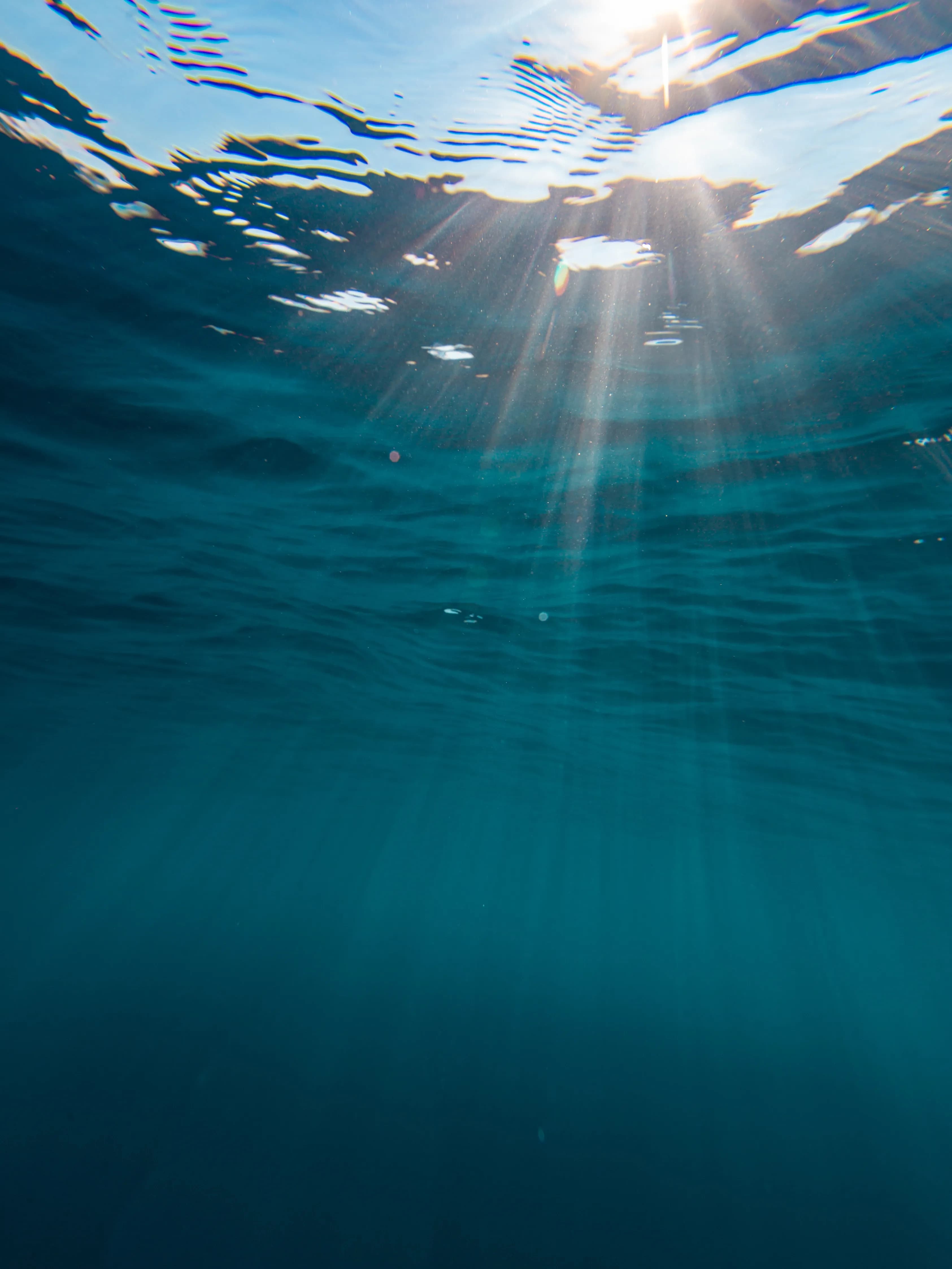 Reef-Safe Formulas. Skin protection without harming the oceans.